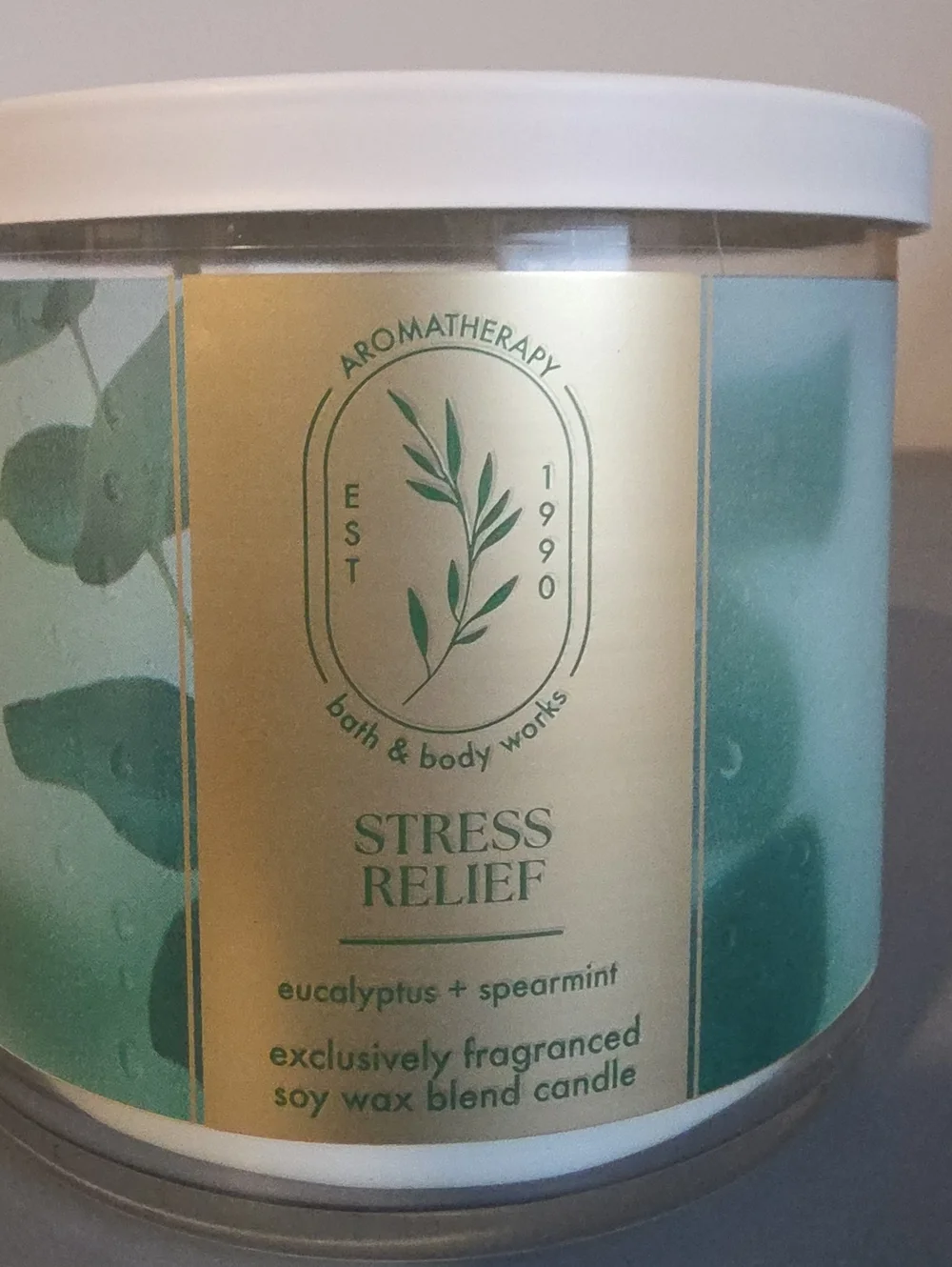 BATH & BODY WORKS NWT Stress Relief Eucalyptus + Spearmint 3-wick Candle